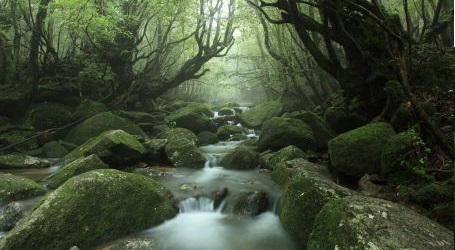 三岳酒造