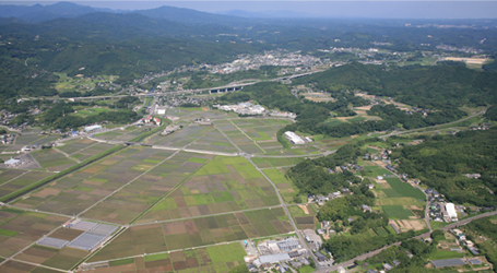 田崎酒造