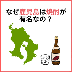 【特集】なぜ鹿児島は焼酎が有名なの❔